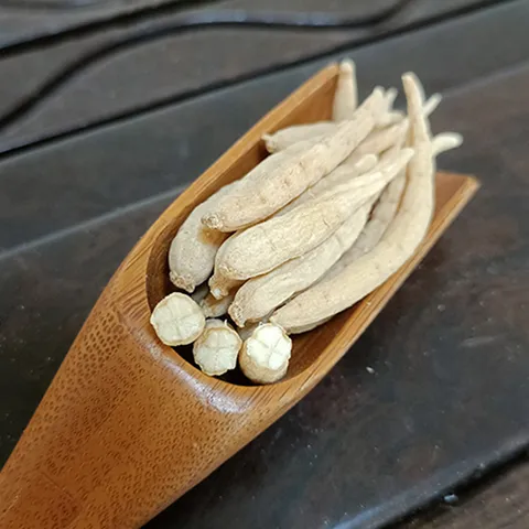 Dried Prince Ginseng roots in a wooden scoop, showing tapered root shape and pale colour