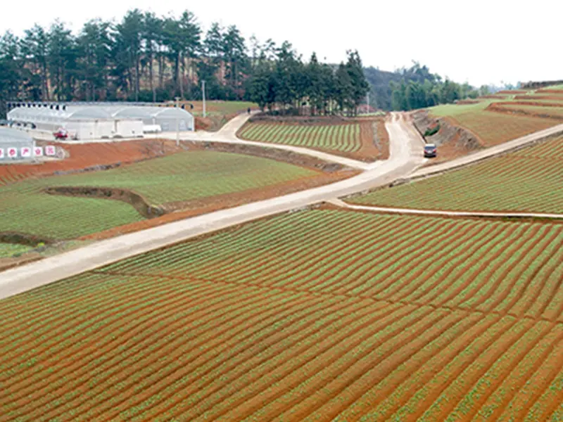 Aerial view of cultivated fields in Shibing